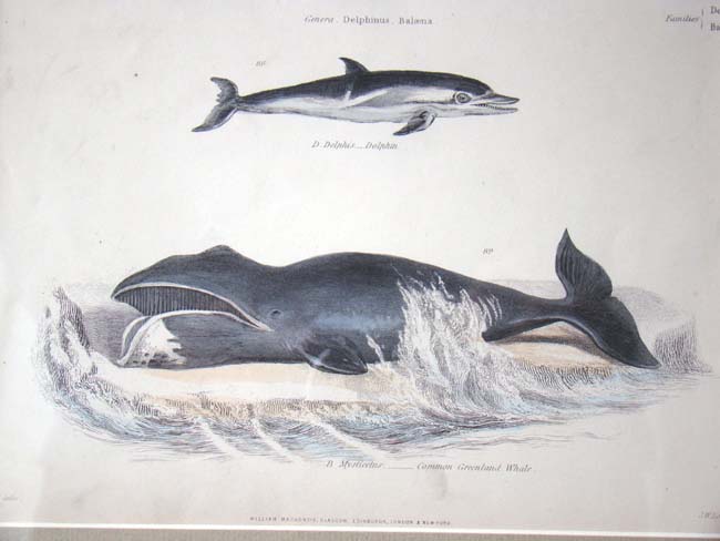 A Framed grouping of 19th century Whaling related items — image 3